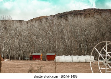 Red log cabin in the woods - Powered by Shutterstock