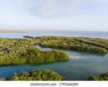 Red Mangrove Islands Clear Water Channels Stock Photo 1792666204 ...