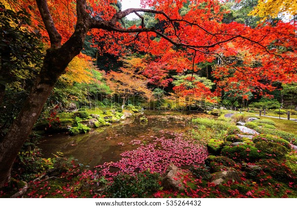 Red Maple Autumn Garden Nanzenji Temple Stock Photo 535264432 ...