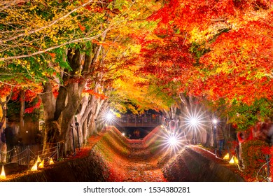 Maple Corridor High Res Stock Images Shutterstock