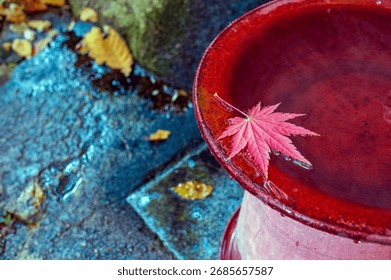 Red maple leaf floating on rustic water jar