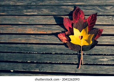 Red maple leaves on trendy wooden background with copy space. Leaf with cut heart shape on a bench. Autumn template in flat lay style with place for your text. Minimal mockup concept. - Shutterstock ID 2041262093