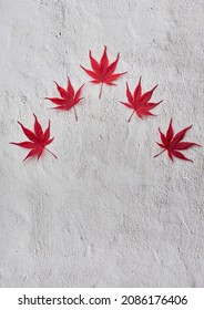 Red maple leaves on white background. Text space.