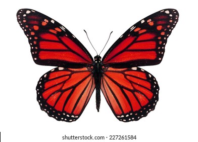 222,341 Butterfly red background Images, Stock Photos & Vectors ...