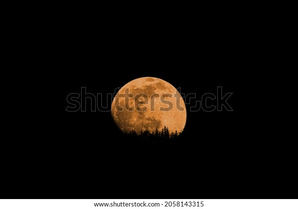 Red moon with a\
forest isolated on black background. Waxing gibbous phase, a few\
days before the full moon