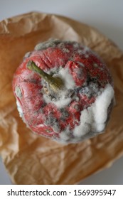 Red Moulded Bell Pepper With Mildew Capsicum Covered With White And Gray Fungus Ugly Wrinkled Old Unhealthy Disgusting Garbage Vegetable On A Brown Craft Paper Copy Space Organic Waste