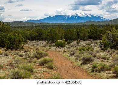 Red Mountain Landscapes In Northern Arizona 