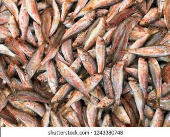 Red Mullet (barbun) At Local Market.