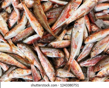 Red Mullet (barbun) At Local Market.