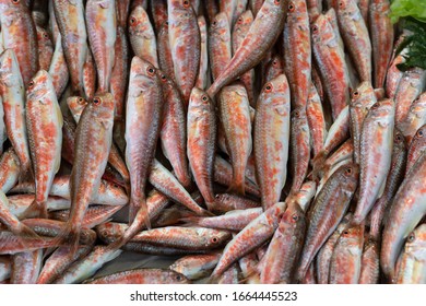 Red Mullet (barbun) At Local Market.