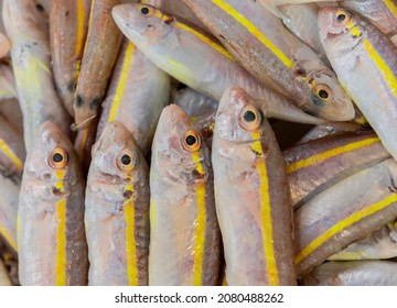 Red Mullet (barbun) At Local Market.