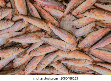 Red Mullet (barbun) At Local Market.