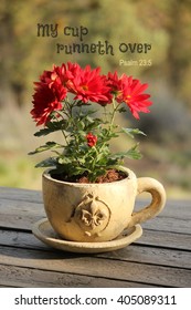 Red Mum Flowers Potted In A Teacup Planter With Scripture