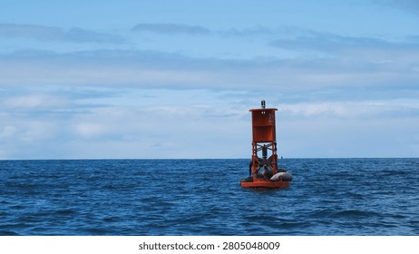 Red navigation buoy floating on calm blue waters with a relaxed harbor seal resting on its structure near Sitka, Alaska. A peaceful marine wildlife scene set against the open Pacific Ocean.