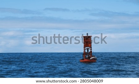 Red navigation buoy floating on calm blue waters with a relaxed harbor seal resting on its structure near Sitka, Alaska. A peaceful marine wildlife scene set against the open Pacific Ocean.