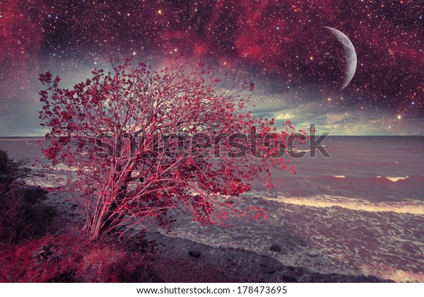 red night at sea. Elements of this image furnished by
NASA 