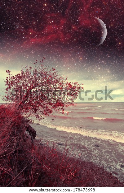 red night at sea. Elements of this image furnished by\
NASA 
