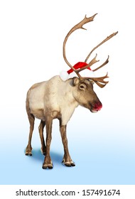 Red Nose Reindeer Or Caribou With Christmas Hat 