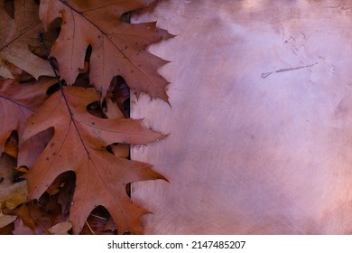 Red Oak Leaves On The Copper Plate. Mockup. Copy Space.