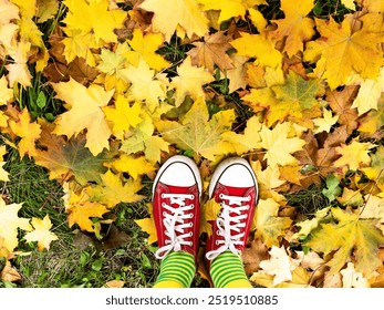 Red old canvas sneakers on the fallen autumn leaves. - Powered by Shutterstock