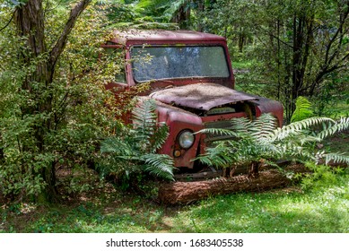 A Red Old Landrover Being Allowed To Rust Away Among A Bush Background . The Rover Is Covered In Dirt, Grime And Old Leaves But The Dappled Sunlight Turns It Into A Relic Of Beauty