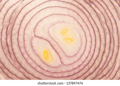 red onion cross section. Onion kernel background.
