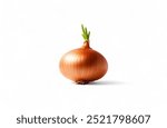 red onion isolated white background