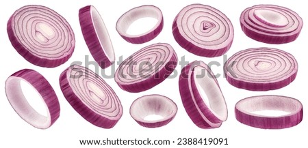 Red onion rings isolated on white background, full depth of field
