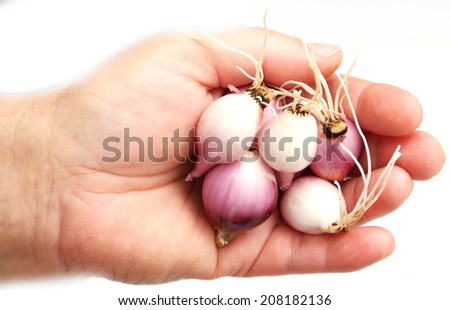 red onions in her hand