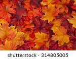Red and Orange Autumn Leaves Background