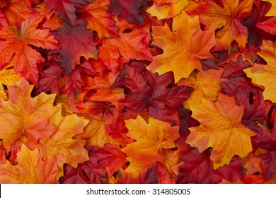 Red and Orange Autumn Leaves Background - Shutterstock ID 314805005