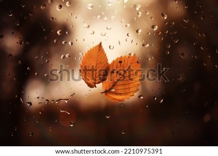 Similar – Image, Stock Photo blue ray Colour photo