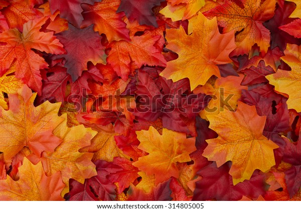 赤とオレンジの秋の葉の背景 の写真素材 今すぐ編集