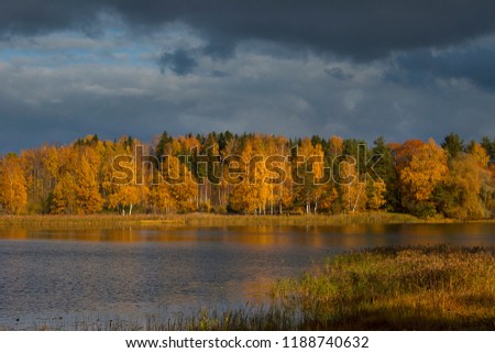 Red orange yellow leaves on forest trees branch on green grass coast at lake water with reflection in autumn sunny day stormy sky clouds light