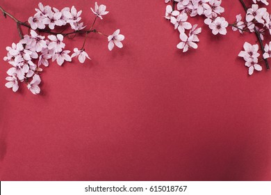 Cherry Blossom Red Background Images Stock Photos Vectors