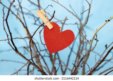 Red Paper Heart Or Crumpled Heart Attached By Tree Branches From A Vase, In The House. Heart Attached With Wooden Clothes Pin. Home Decoration. Dry Branches. Blue Background Or Near The Window. Love, 