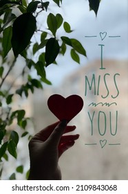 Red Paper Heart In Female Hands Against The Background Of A Window And A Houseplant In The Backlight, A Good Postcard For The Holiday, Valentines Day.