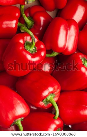 Red paprika background, pattern. Composition 