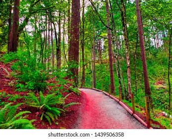 Red path to red trees
