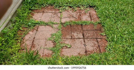 Red Pavers In Florida Grass