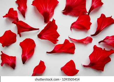 petals of