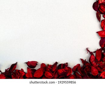 Red petals on the corner of the white background.