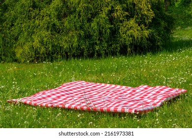 Red picnic blanket. Red checkered picnic cloth on a flowering meadow with daisy flowers. Beautiful backdrop for your product placement or montage. - Powered by Shutterstock