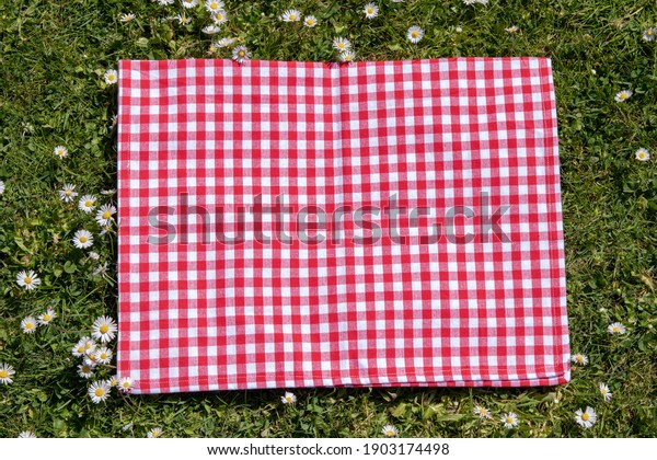 Red picnic cloth. Red checked picnic blanket on\
a meadow with daisies in bloom. Beautiful backdrop for your product\
placement or montage.
