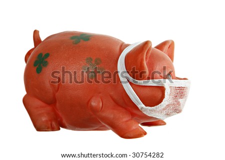 Red pig toy with mask