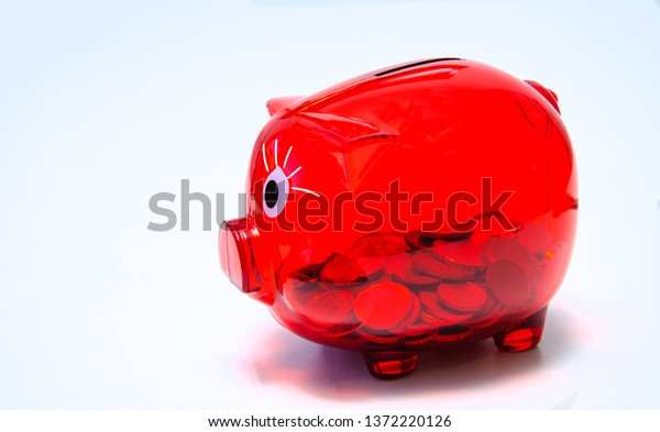 \
red piggy\
bank