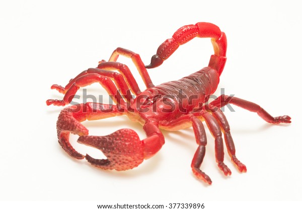 plastic scorpion toy