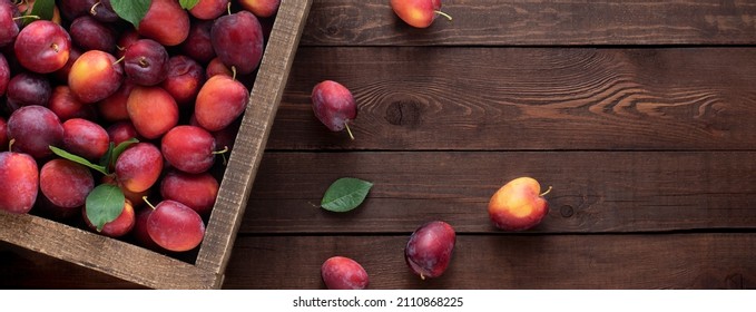 
Red plum in a wooden box on a wooden table, top view, copy space. Harvesting a farm harvest, banner - Powered by Shutterstock