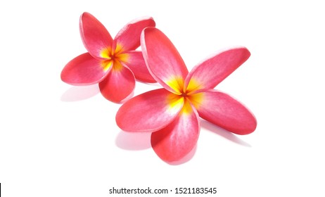 411,601 Thai Flowers Stock Photos, Images & Photography | Shutterstock