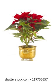 Red Poinsettia In A Copper Planter